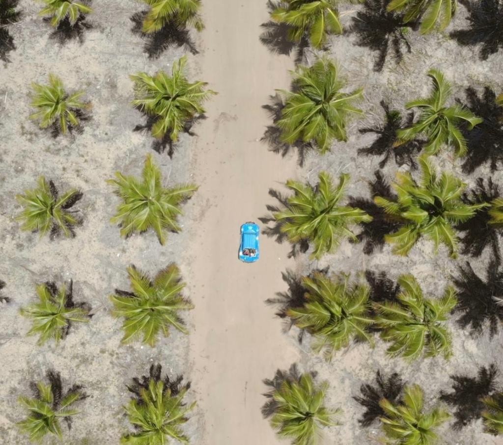 Passeio de Buggy em Porto de Galinhas | Com duração de 6hs