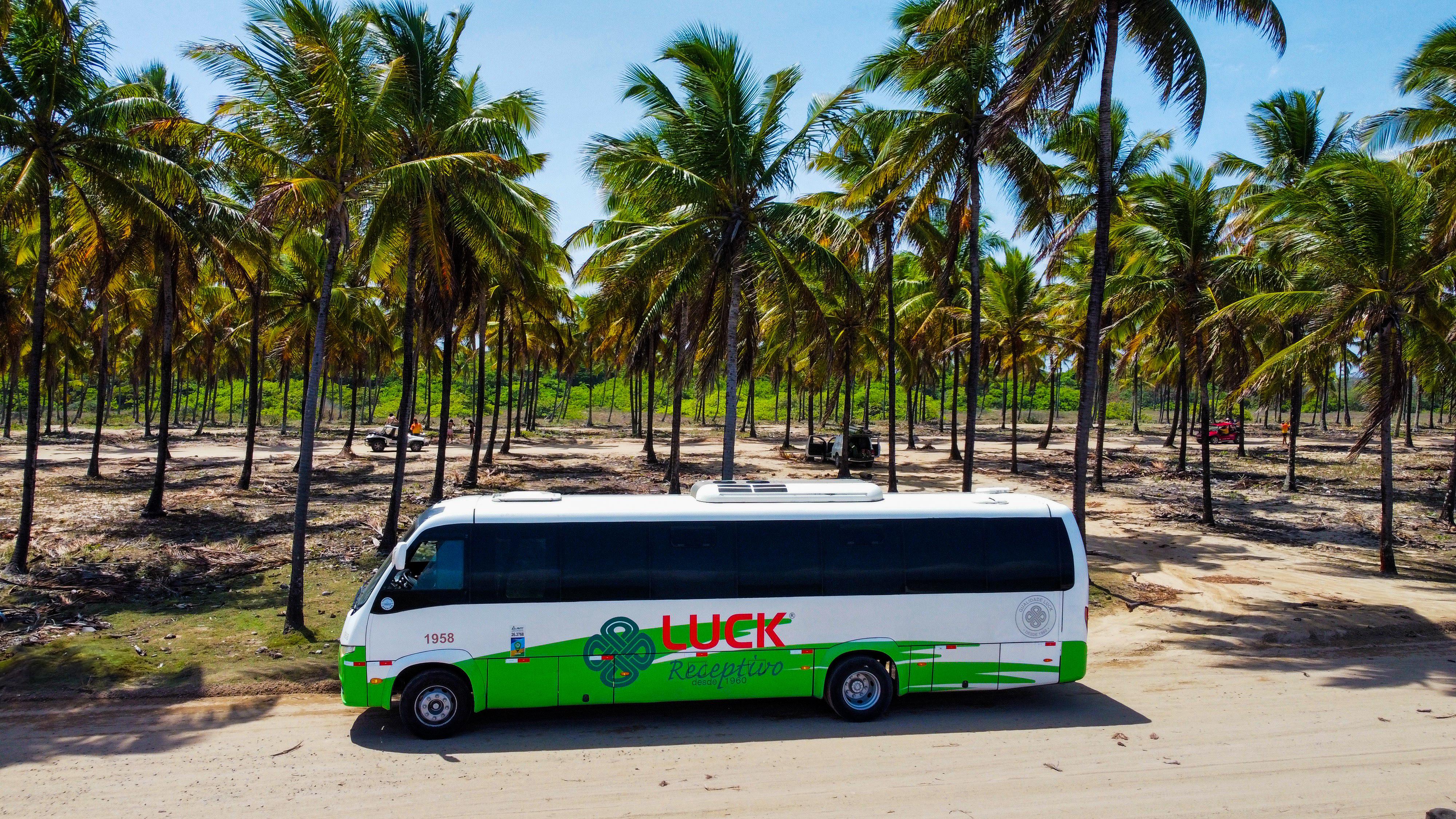 Transfer para Porto de Galinhas