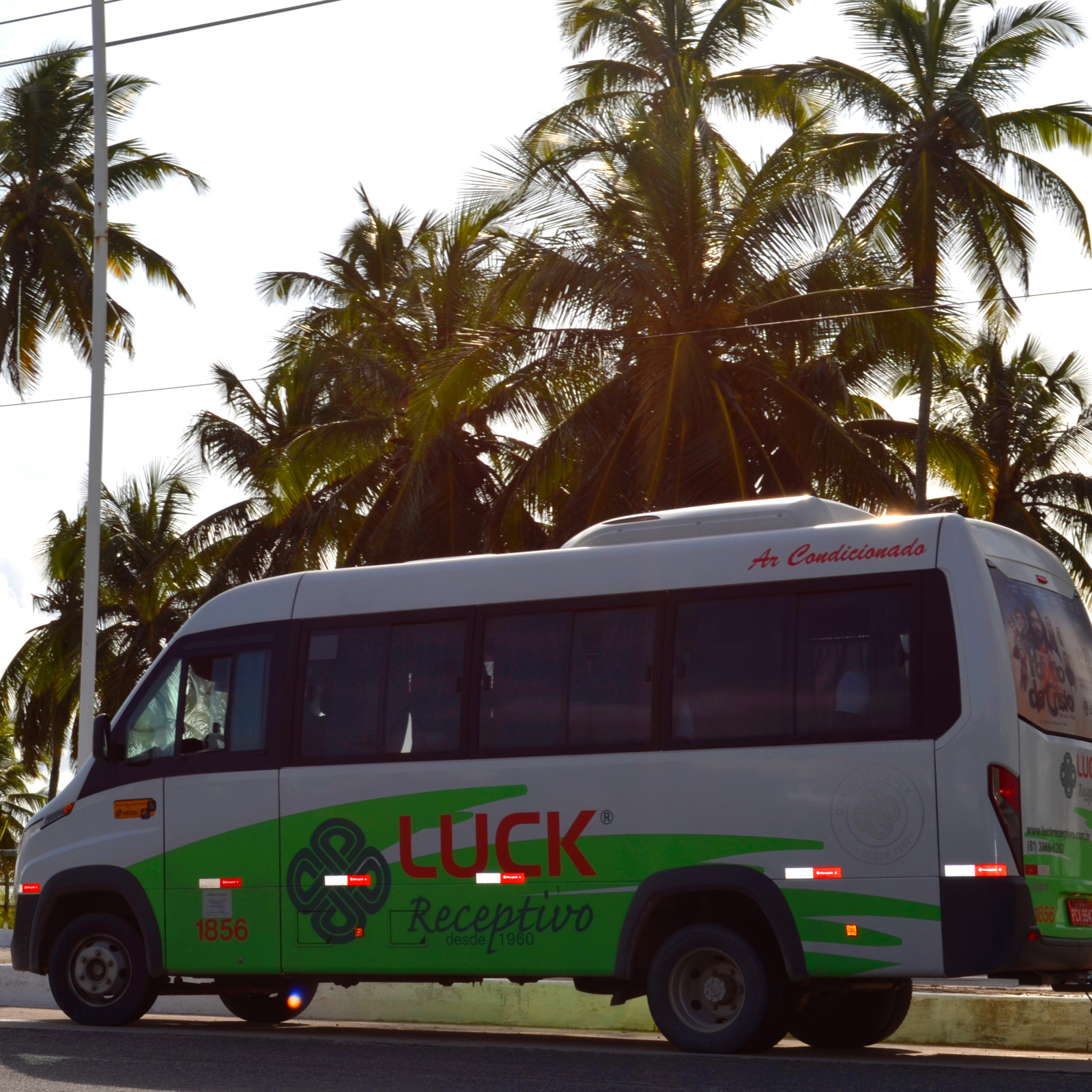 Transfer para Porto de Galinhas