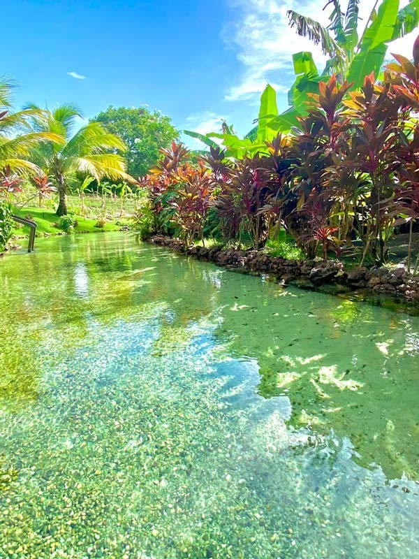 Day use no Rio Catolé