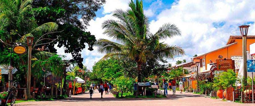 Passeio na Praia do Forte