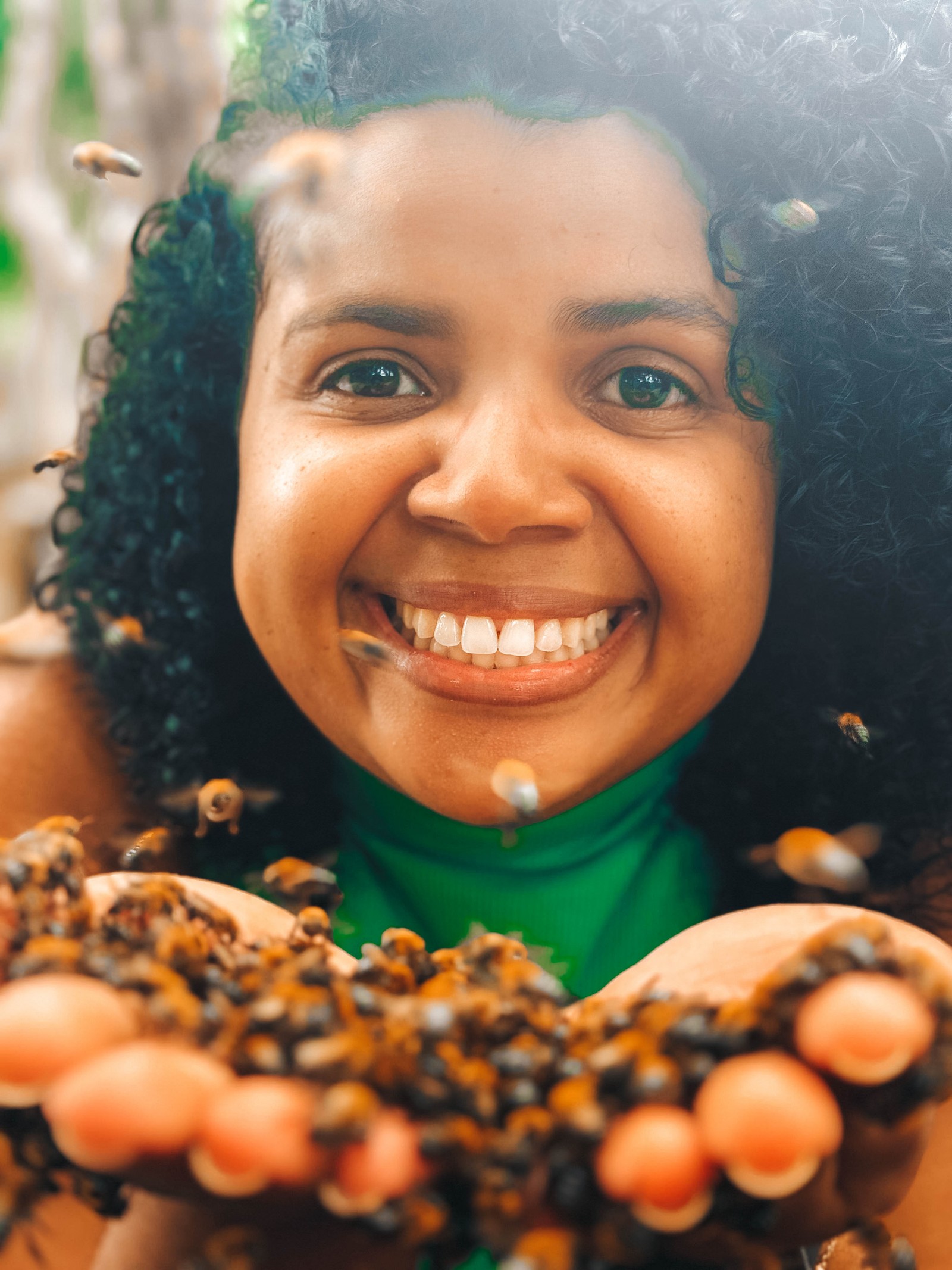 Reserva Uirapuru: Aventura Ecológica No Litoral Norte Da Bahia