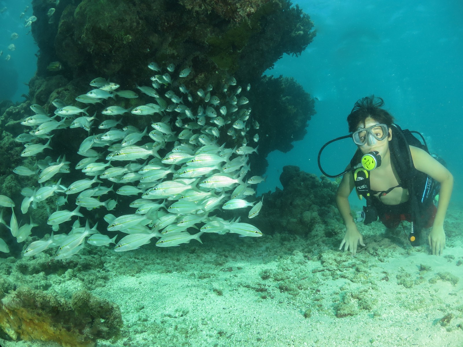 Passeio ao Pontal do Maragogi: Transporte + Day-use Grátis.