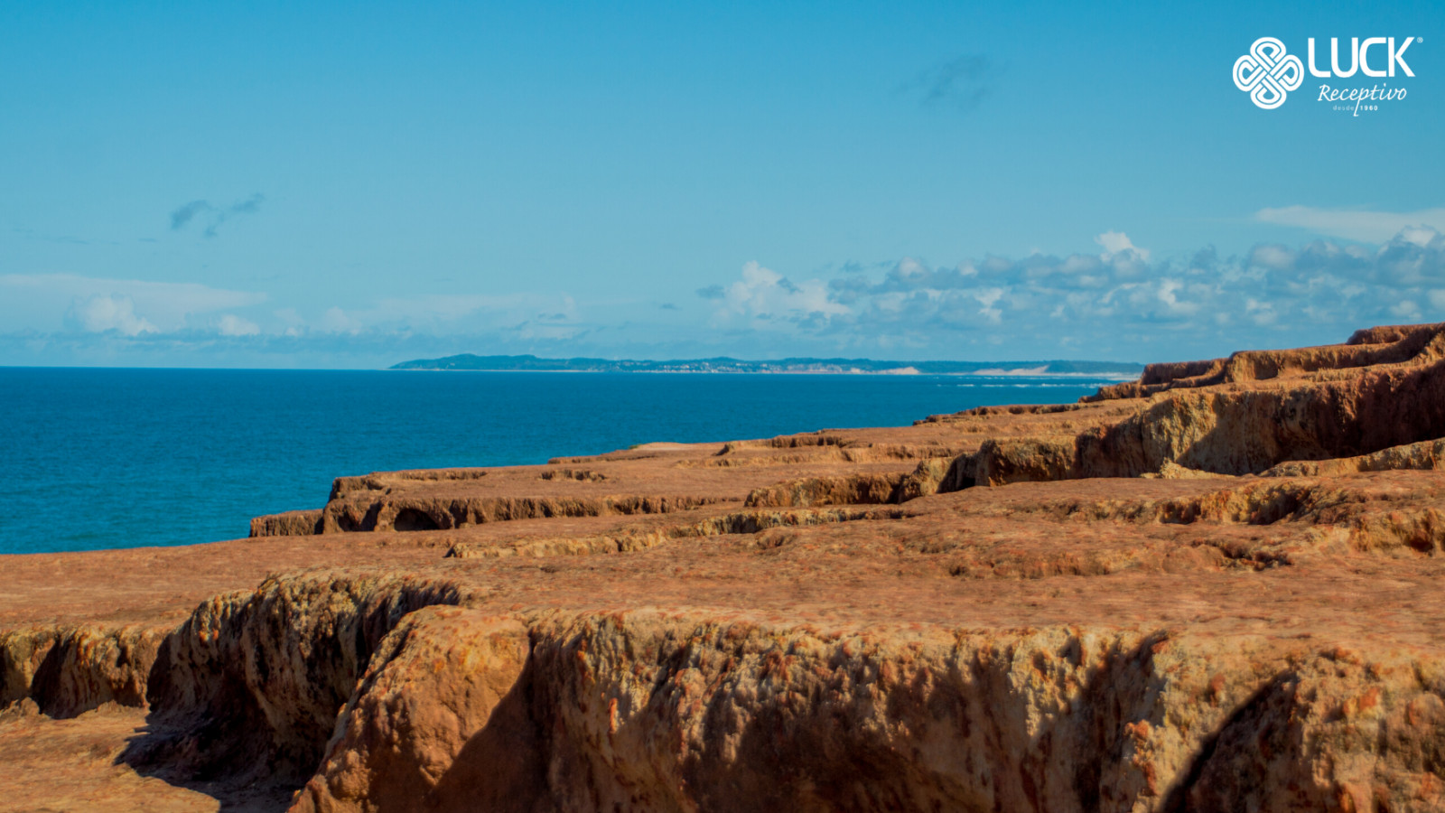 Passeio em Pipa Tour completo