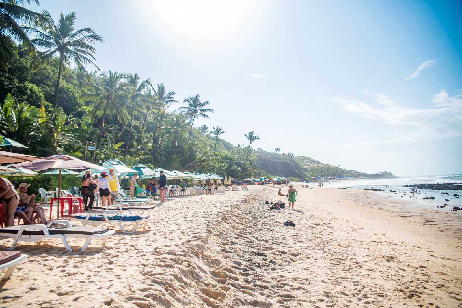 Passeio em Pipa Tour completo