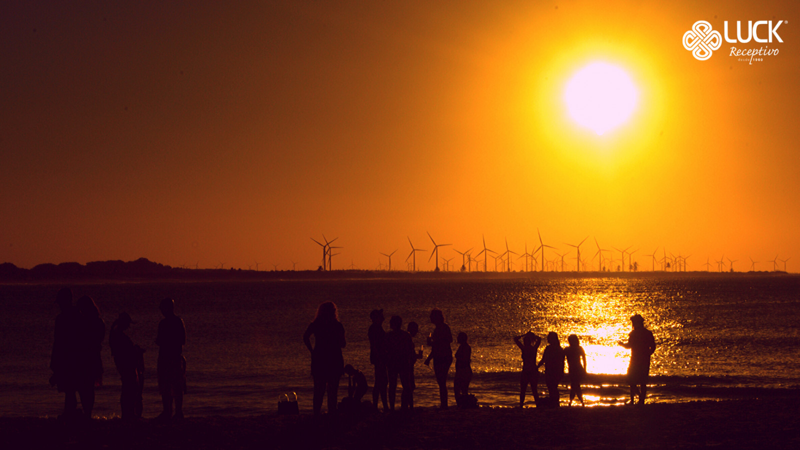 Passeio à São Miguel do Gostoso 