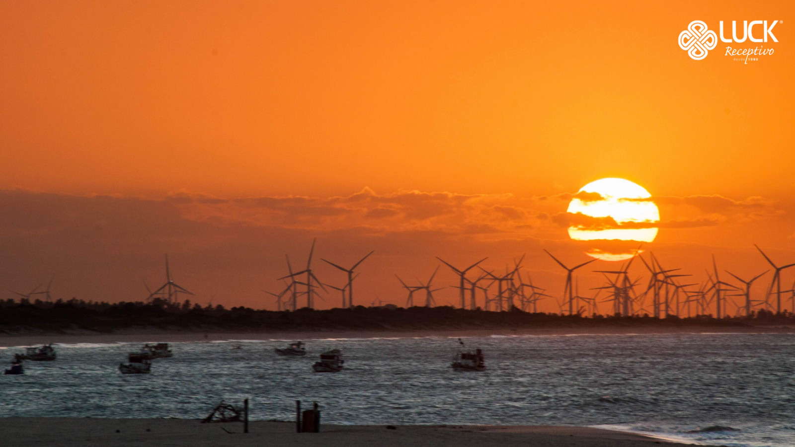 Passeio à São Miguel do Gostoso 