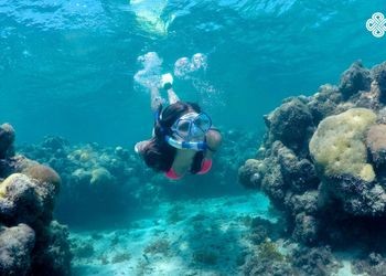 Passeio à Maracajaú com saída de Touros