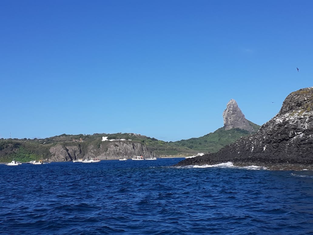 Acompanhante de Mergulho