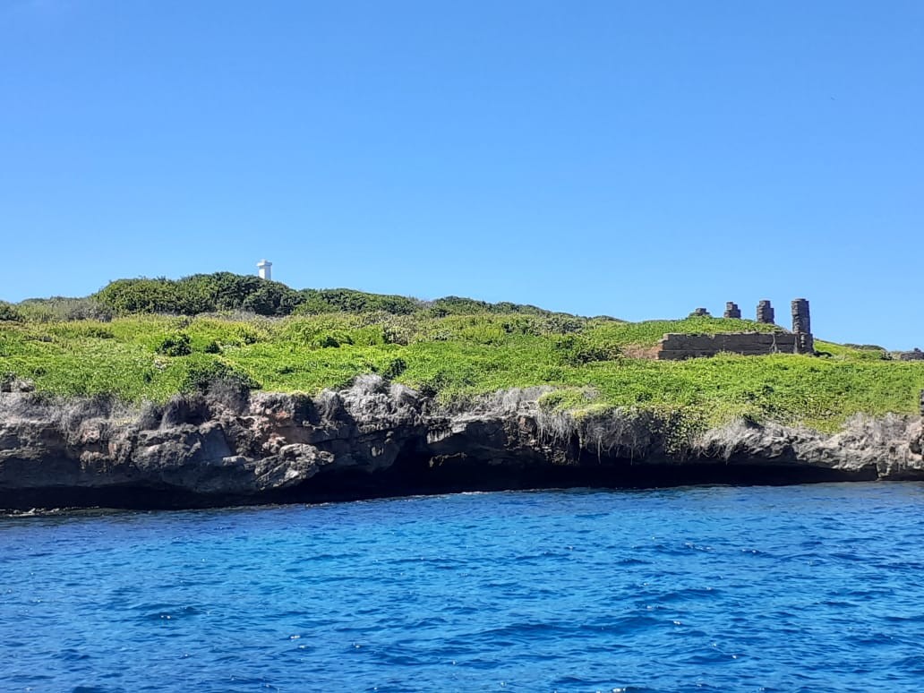 Acompanhante de Mergulho