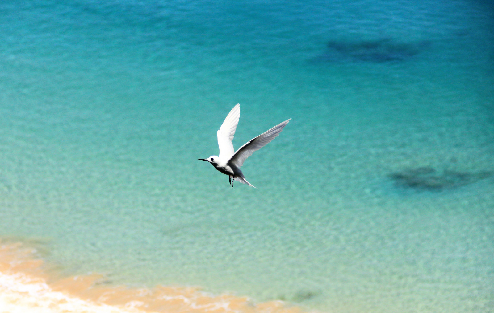 Trilha Costa dos Mirantes