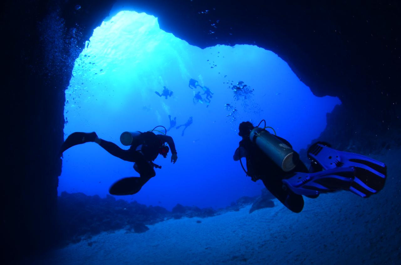 Mergulho Credenciado 